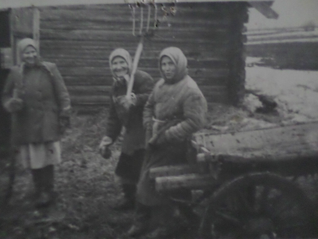 Жительницы д. Глушки на вывозе навоза на колхозные поля. Слева направо: Анастасия Смирнова, Парасковья Маланова, Надежда Дунаева. Фото из группы «Макарьевский сельсовет» соцсети "Одноклассники"