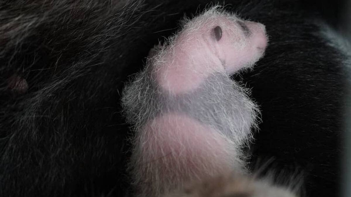    Фото: Telegram / Светлана Акулова