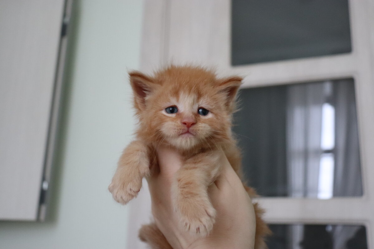 Фото из личного архива.