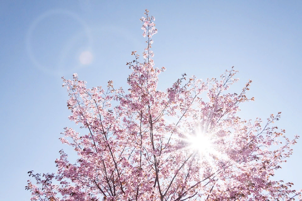 Источник фото: pixabay.com
