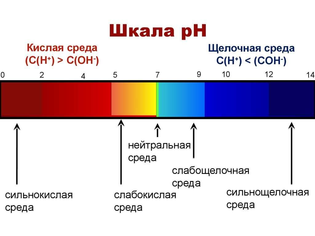 По рисунку 1 определите какая среда 1 или 2