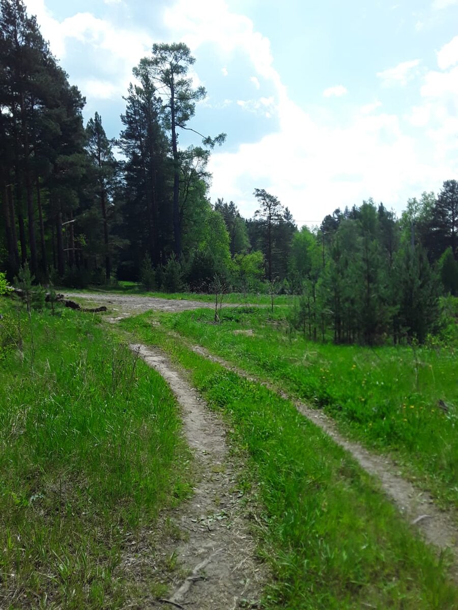 Дорога другая. Эта лучше на много:))