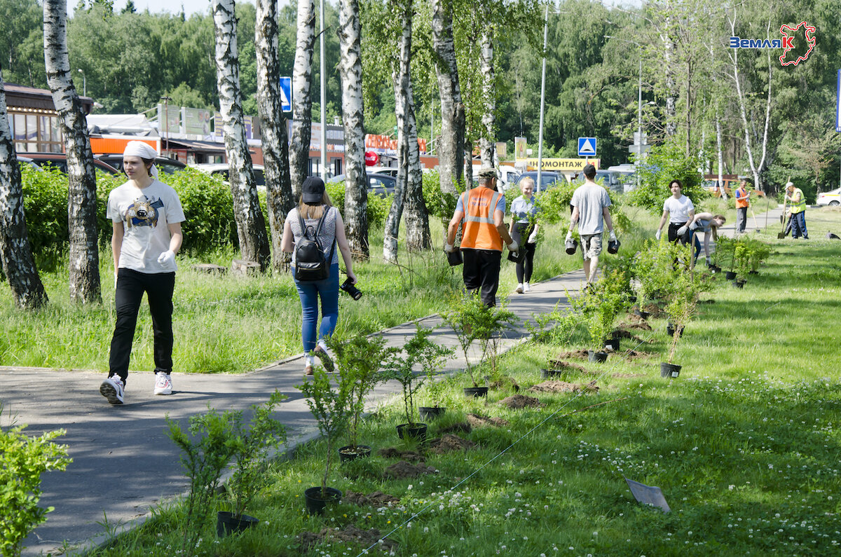 Погода на сегодня в красногорске московская область. Экологическая обстановка Красногорск.