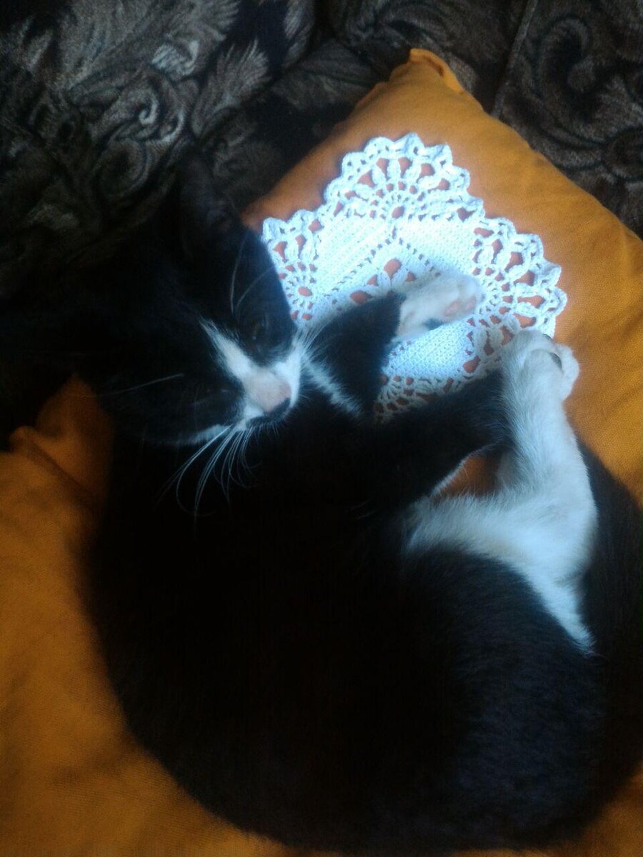 Это наше "НО"!