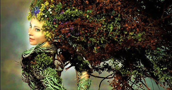 Фото из свободного доступа "Яндекс-картинки" - Дриады