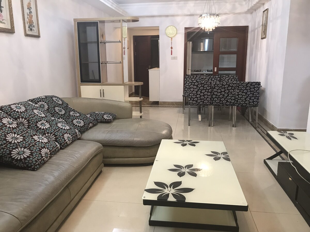 Типичная планировка зала в Китайской квартире 