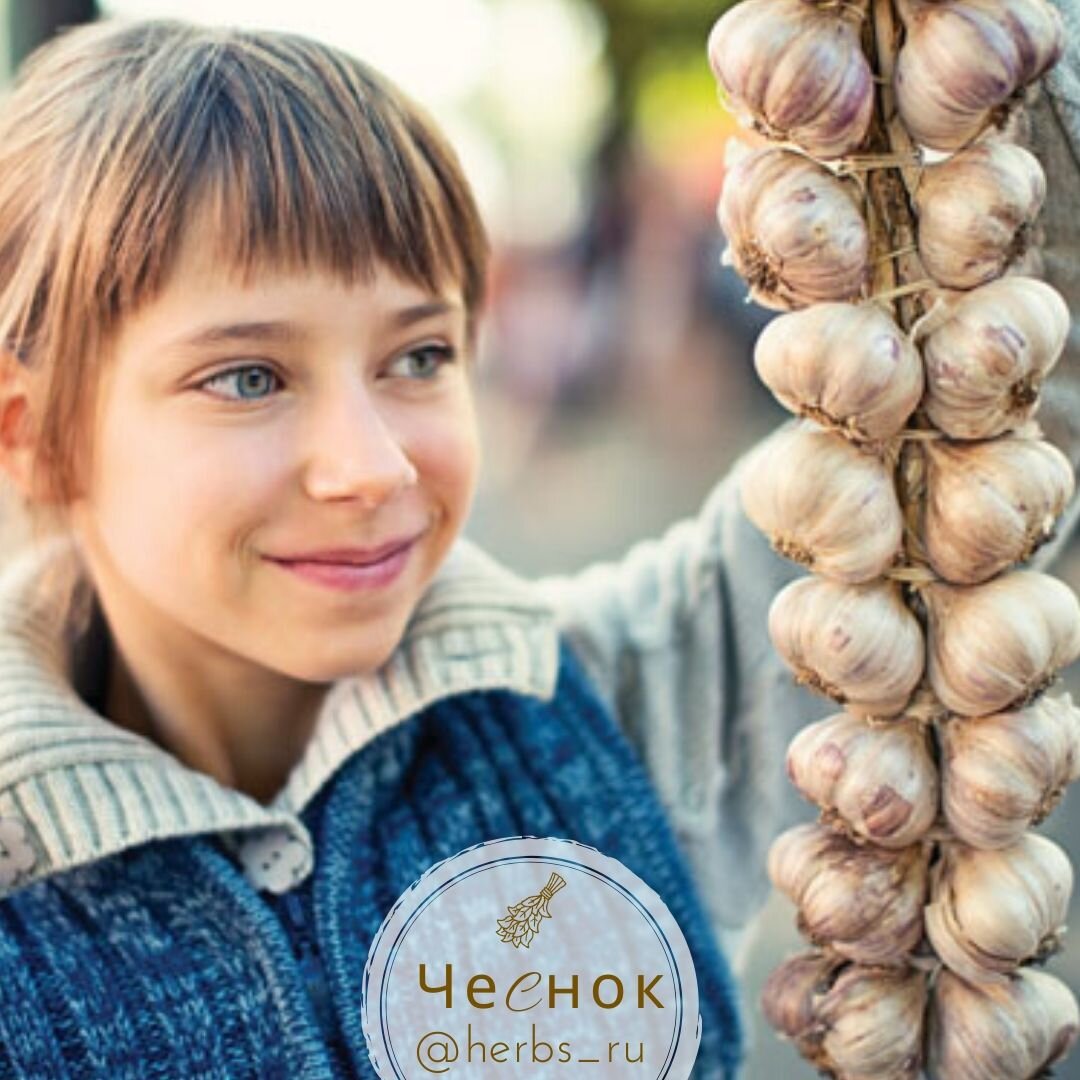 Чеснок обладает многими полезными для здоровья свойствами, в том числе борется с несколькими видами рака.