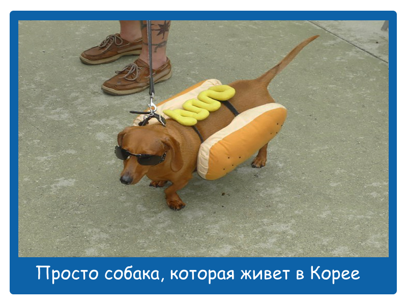 Оформление мема - "Дземчик