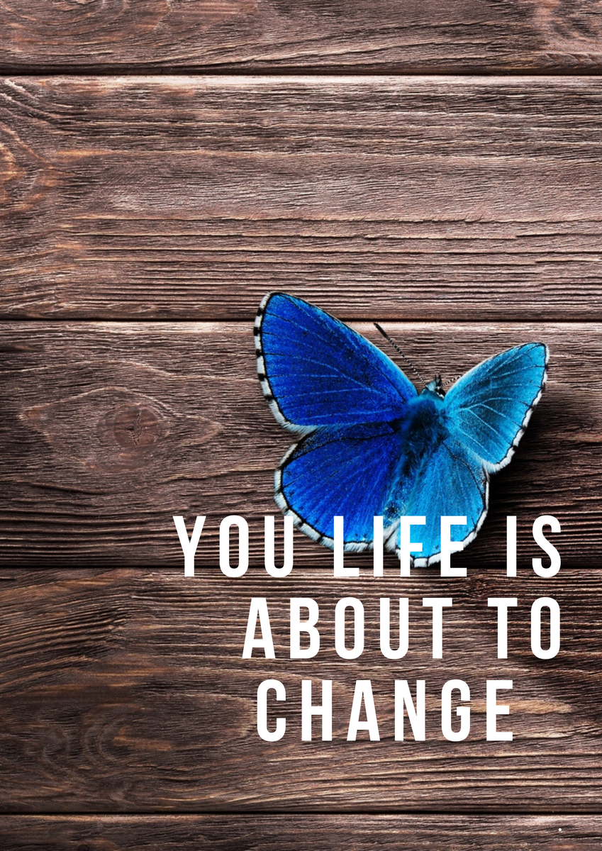 Фото автора блога. Источник: Canva.com#домсоветов 