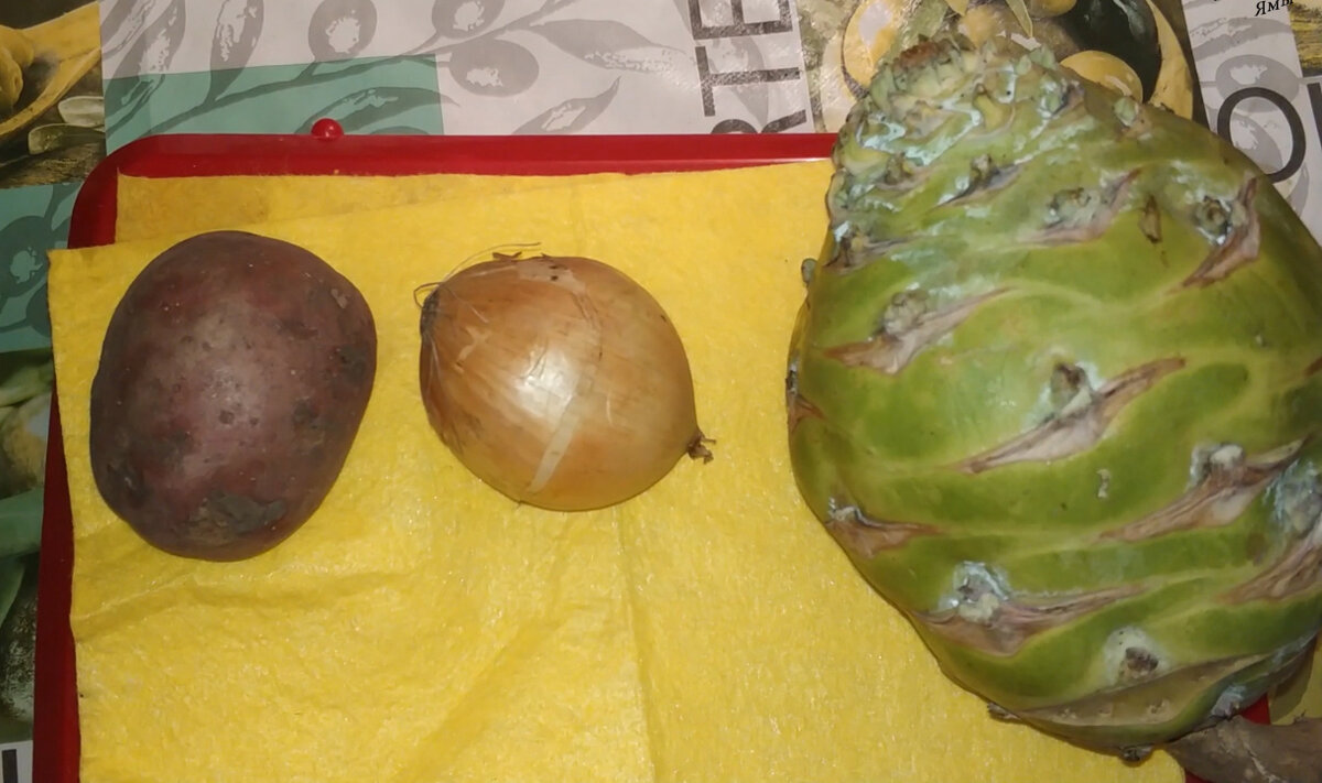 Может супчик забабахать..?