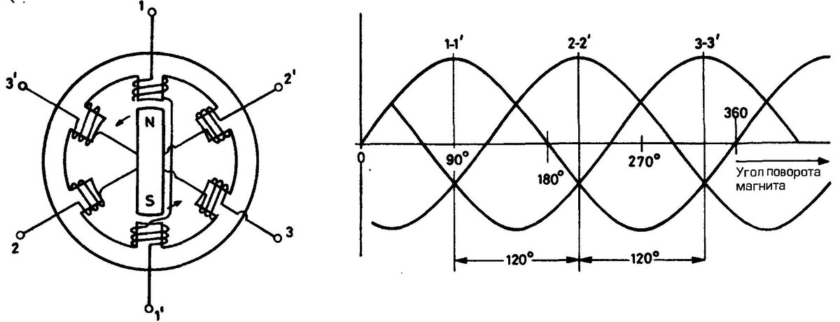 изображение из открытых источников.