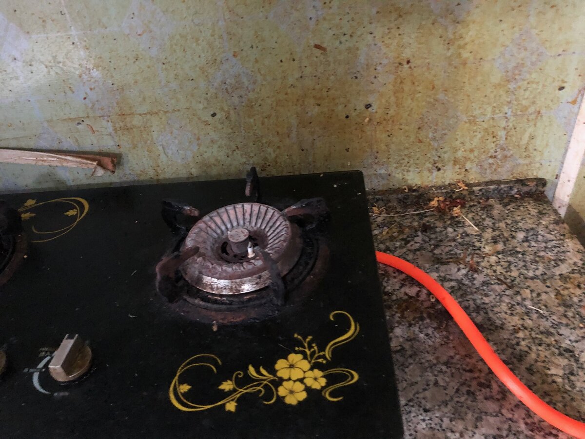 Видите кусочки дермишка позади плиты? 