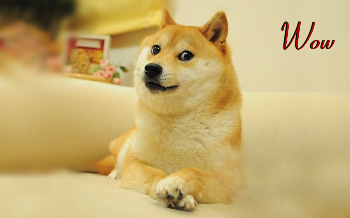 Исходное фото