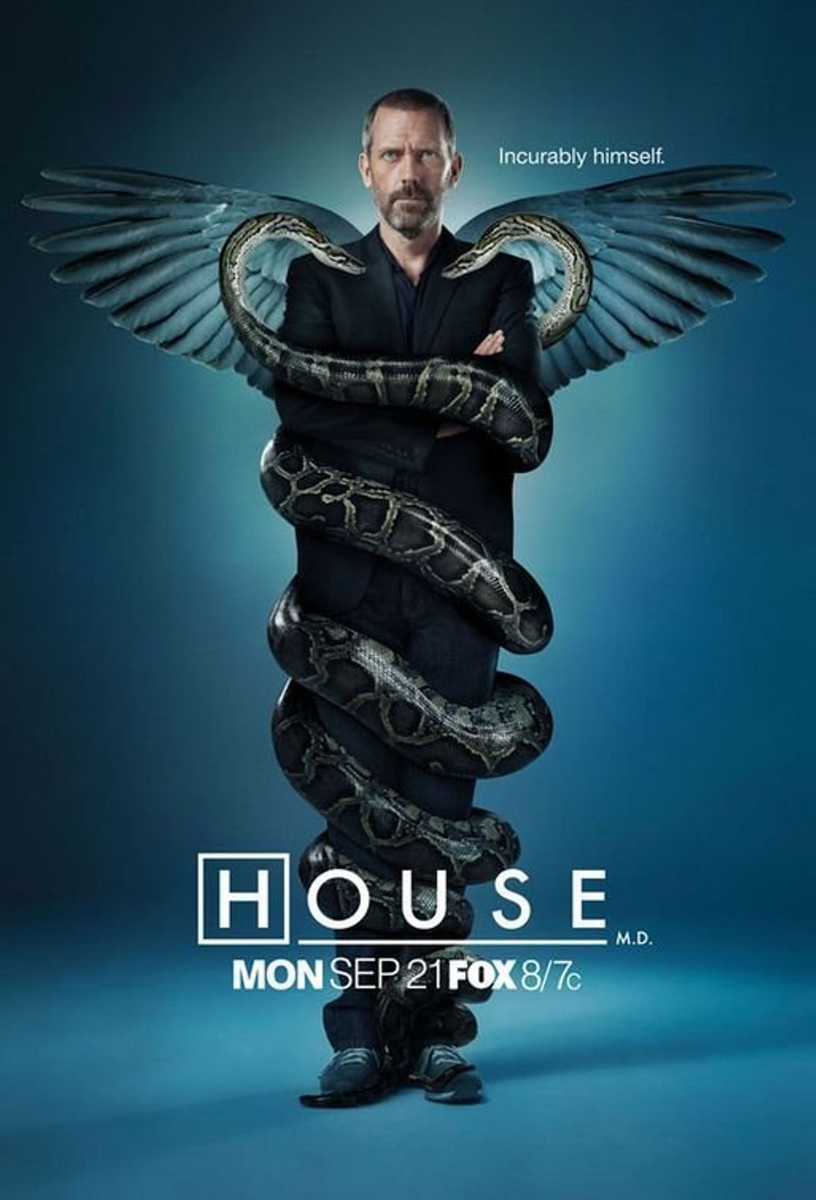 Сериал рассказывает о команде врачей, которые должны правильно поставить диагноз пациенту и спасти его. Возглавляет команду доктор Грегори Хаус с тростью. Как врач Хаус просто гений, но сам не отличается проникновенностью в общении с больными и с удовольствием избегает их. Он сам всё время проводит в борьбе с собственной болью, а трость в его руке только подчеркивает его жесткую, ядовитую манеру общения. Порой его поведение можно назвать почти бесчеловечным, и при этом он прекрасный врач, обладающий нетипичным умом и безупречным инстинктом, что снискало ему глубокое уважение. Будучи инфекционистом, он ещё и замечательный диагност, который любит разгадывать медицинские загадки, чтобы спасти кому-то жизнь. Если бы все было по его воле, то Хаус лечил бы больных не выходя из своего кабинета.