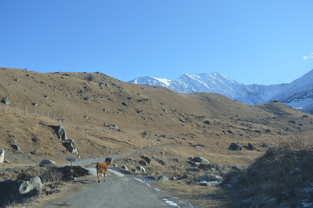 © МИР В ОБЪЕКТИВЕ/ СЕ ЧЕЛОВЕК