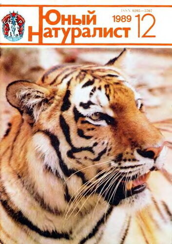 Такой номер у нас тоже был дома.