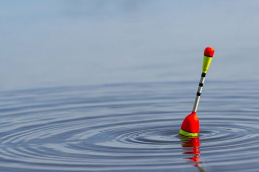 Фото взято из открытых источников 