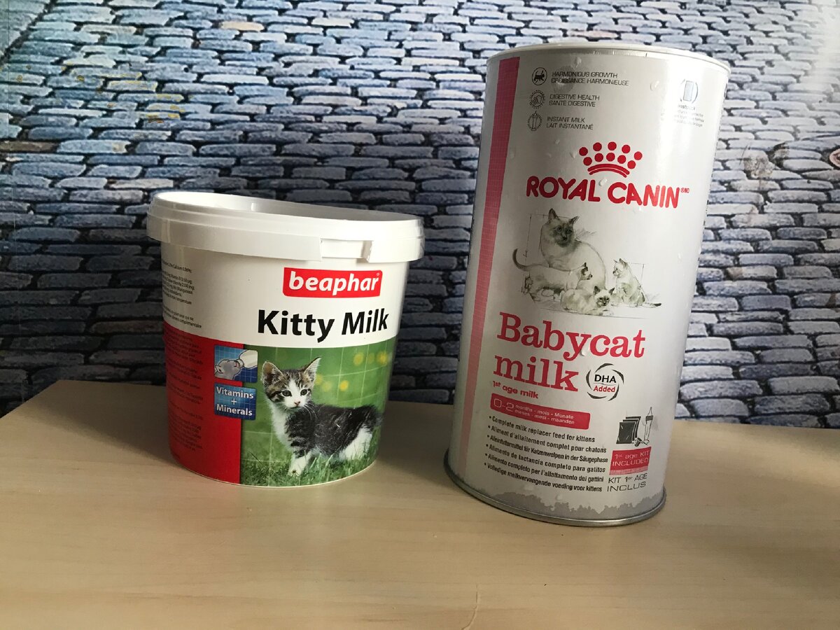 Два самых популярных заменителя. Мы предпочитаем Роял Канин