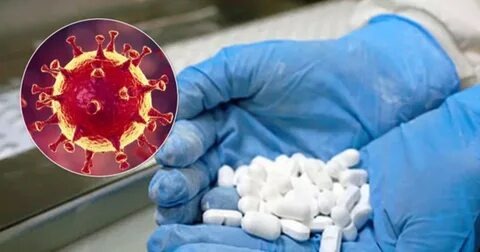 фото яндекс картинки my.ua