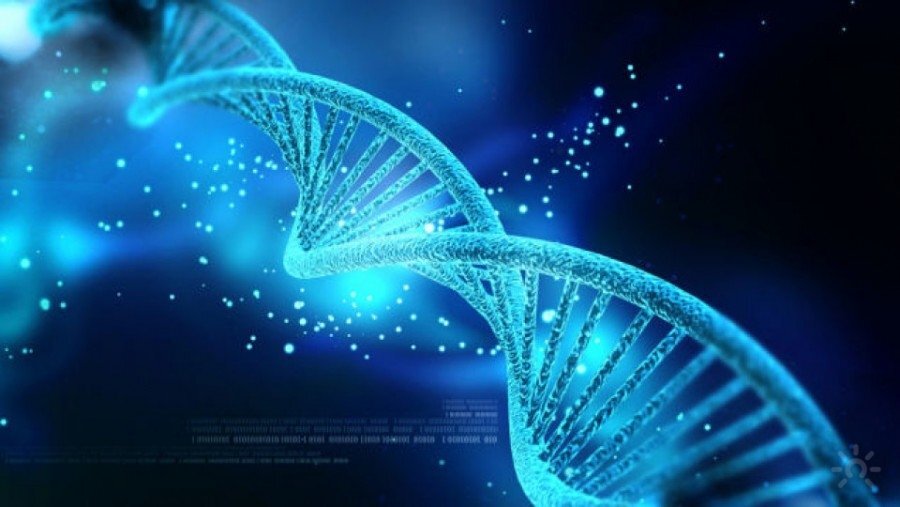 Что тебе уже дано? и кому ещё это интересно.....?