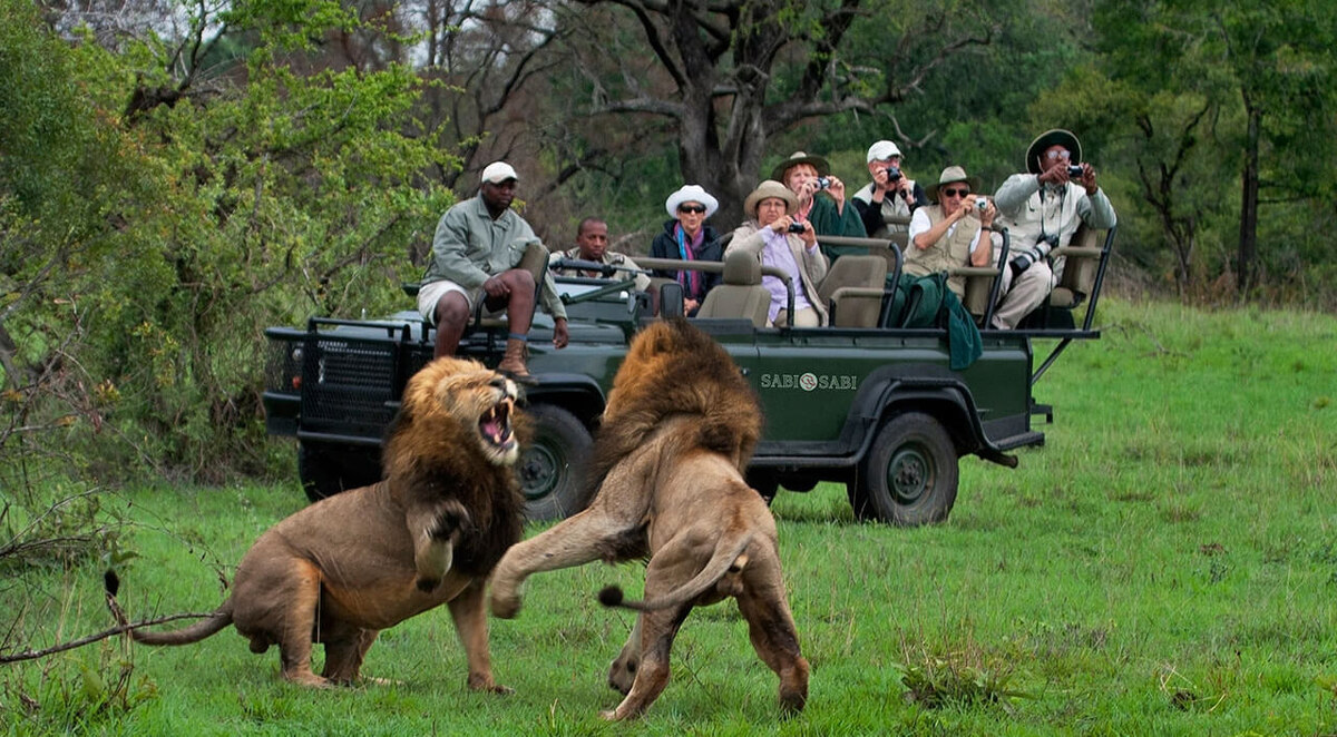 источник: nisan-sv.com.ua