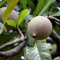 В первые вижу)