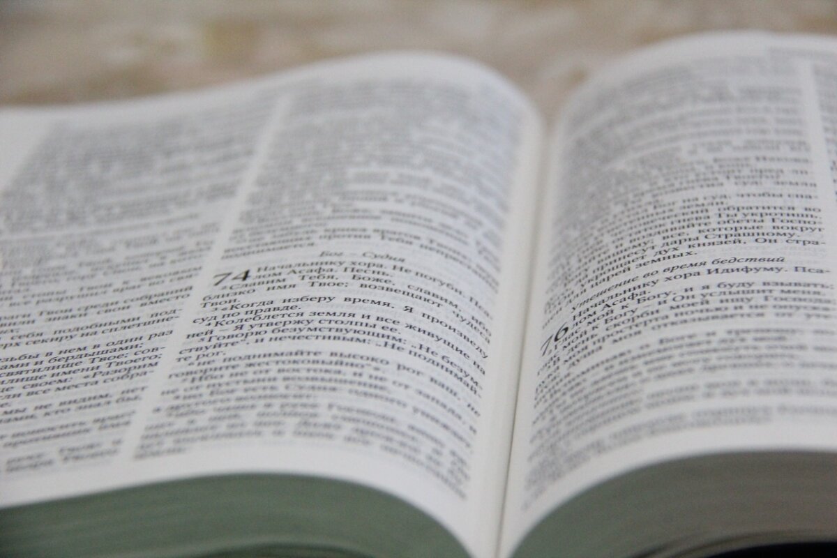 Нагваль Модест о человеке. Цитаты.