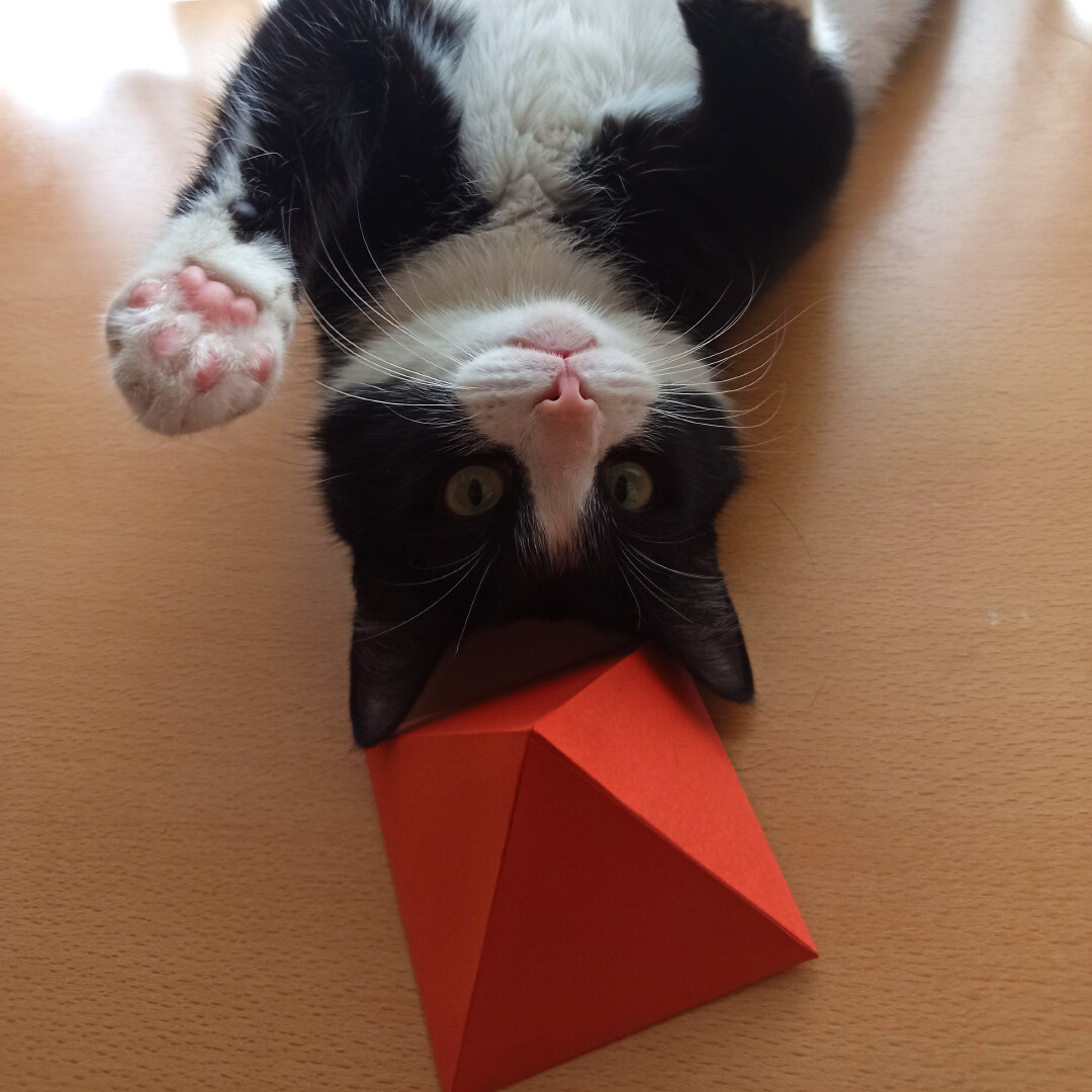 Мой помощник