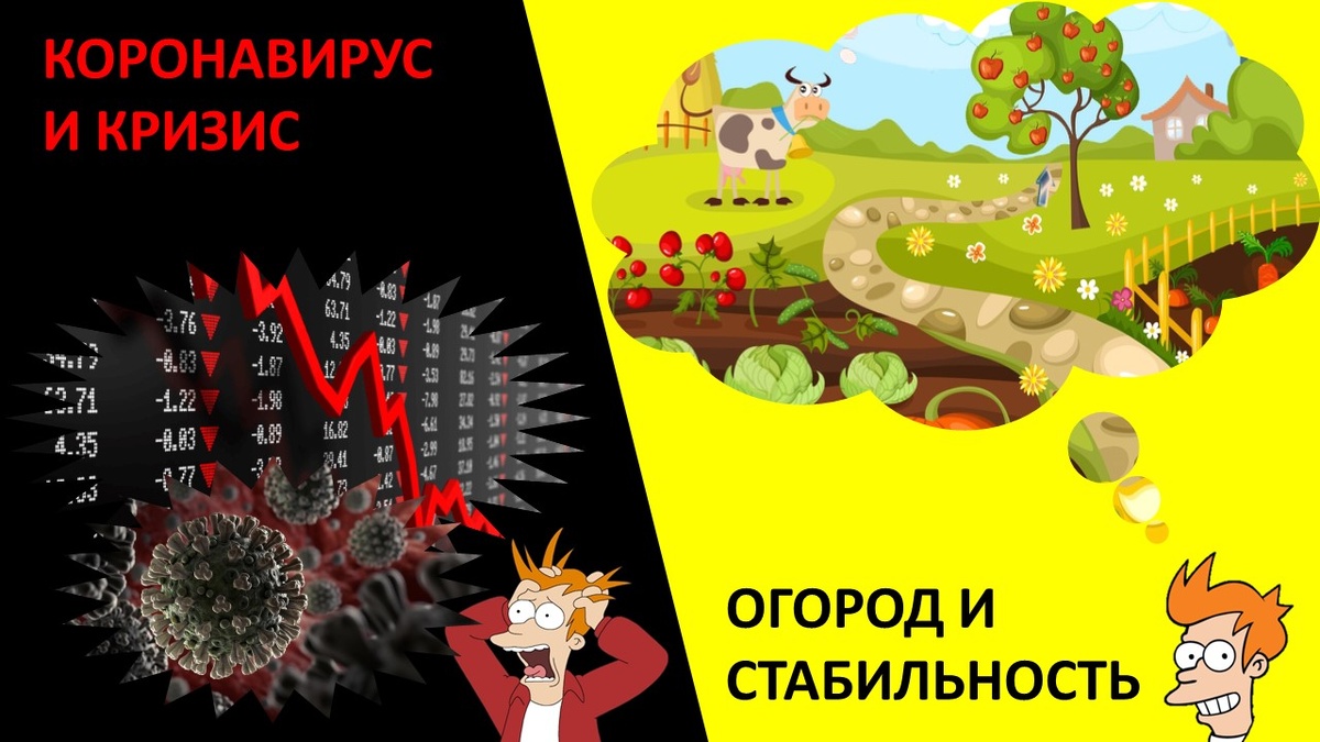 А как ты планируешь пережить кризис?