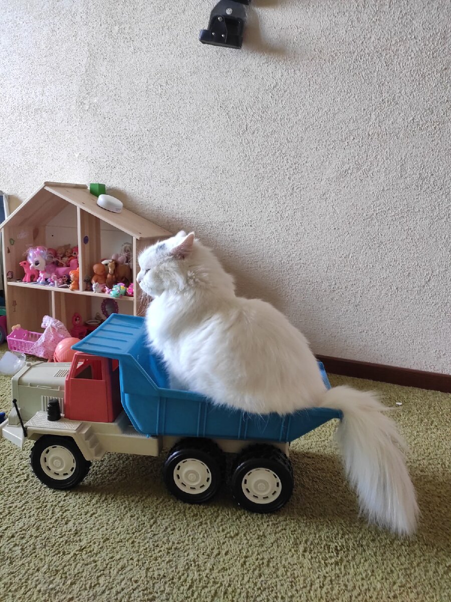 Я ничего не понял 
