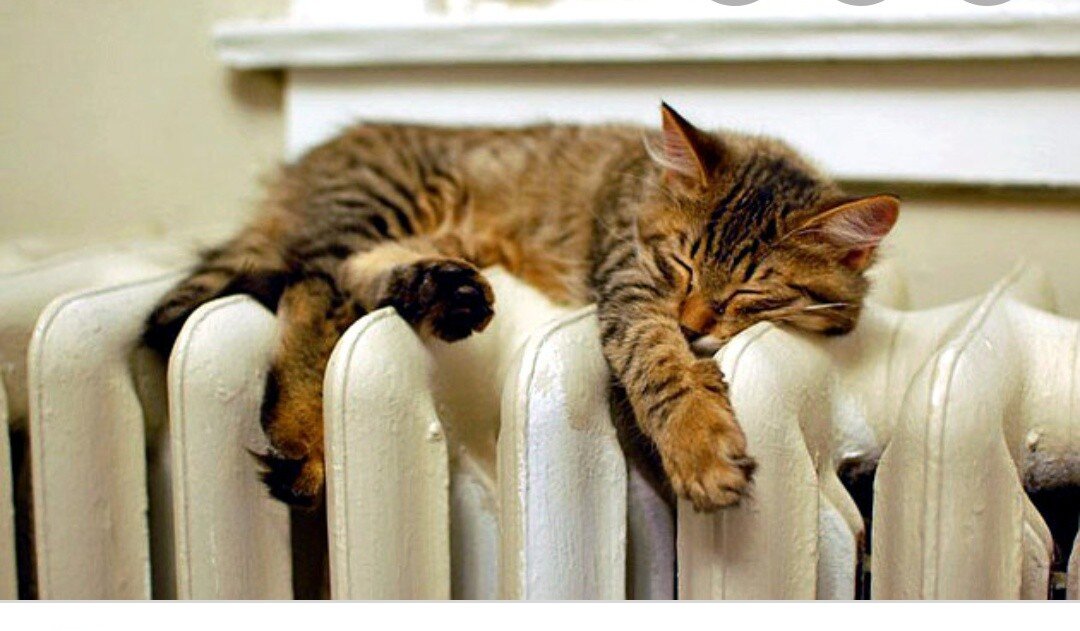 Фото из открытого источника 