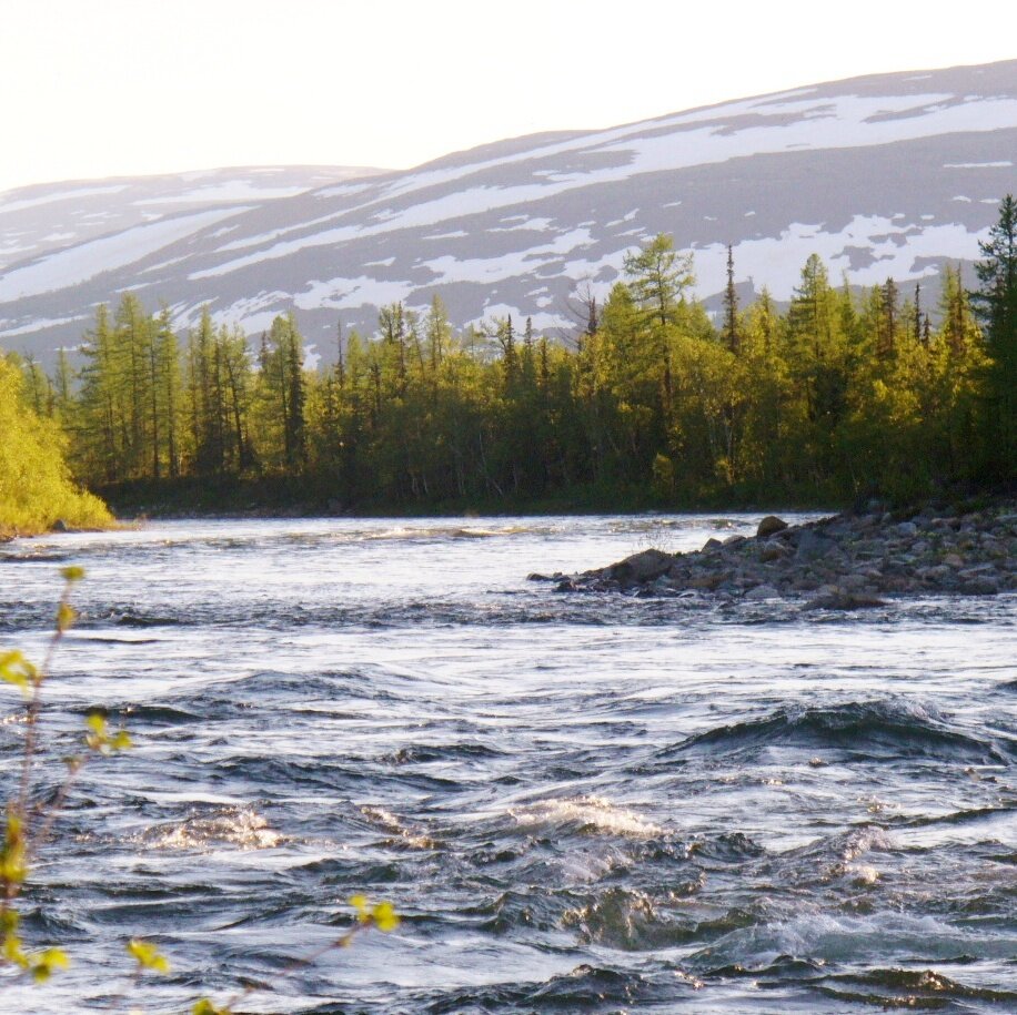 дорога рассматривалась как приключение, а ландшафты как дополнение (фото автора)