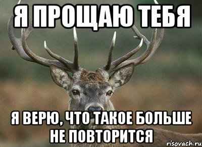 Картинки не прощу