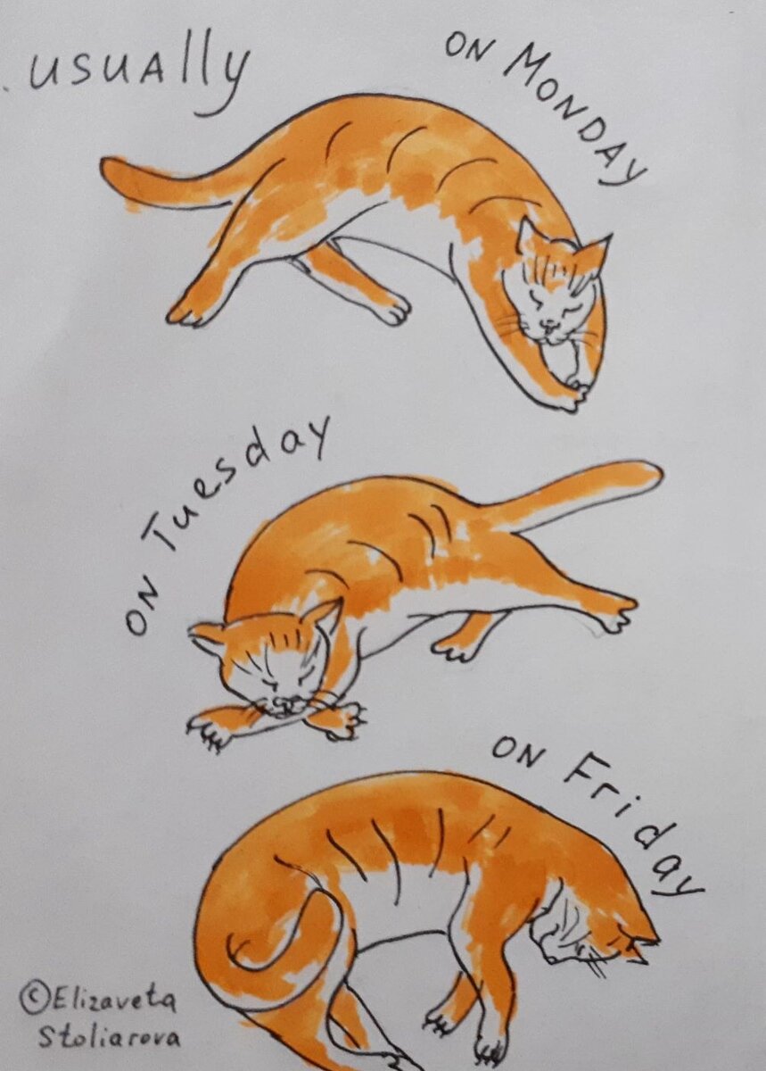 The cat usually sleeps alone. Кисё обычно спит один.