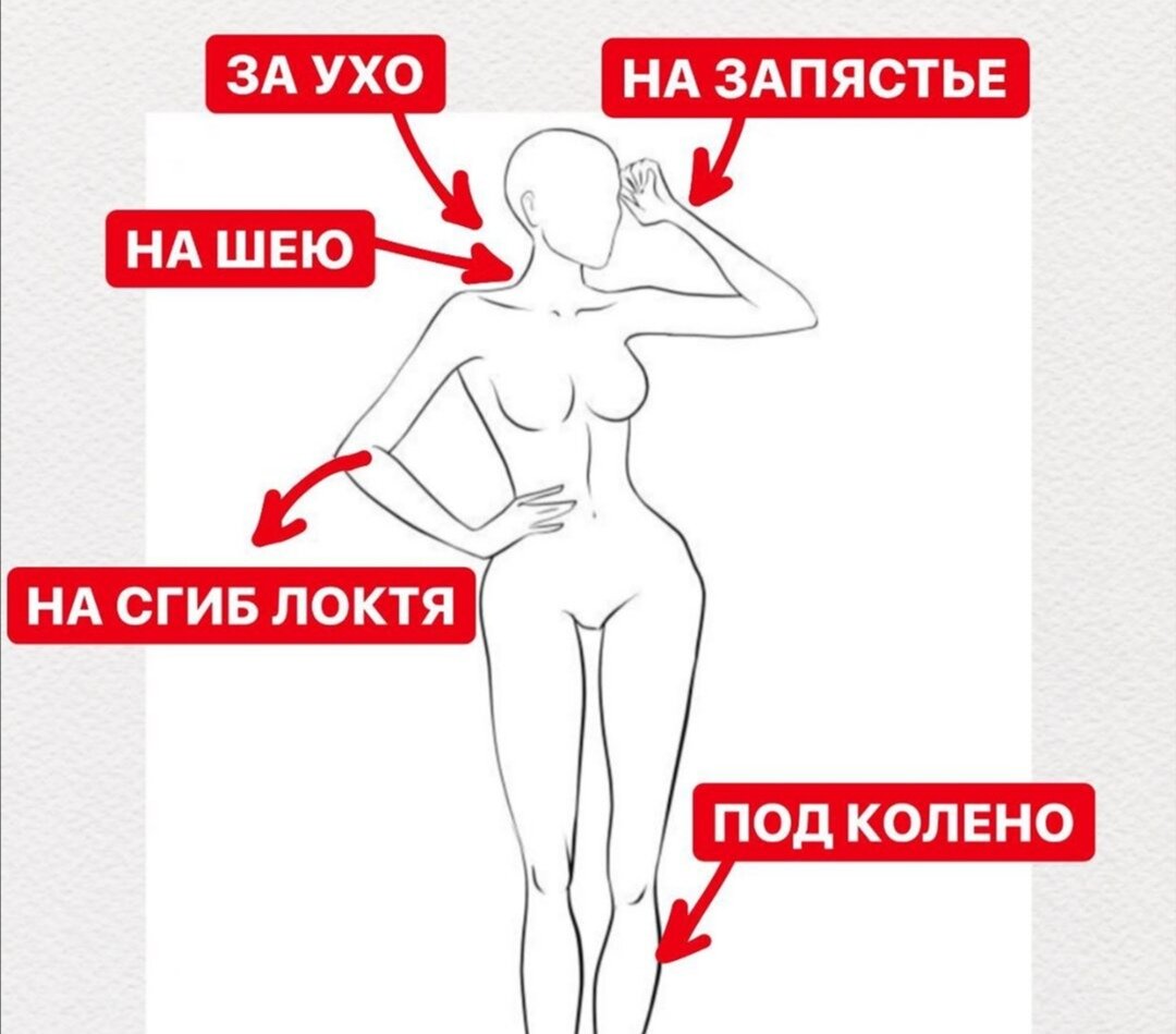 В этих местах кровяные сосуды находятся близко к коже, температура этих участков чуть выше. 