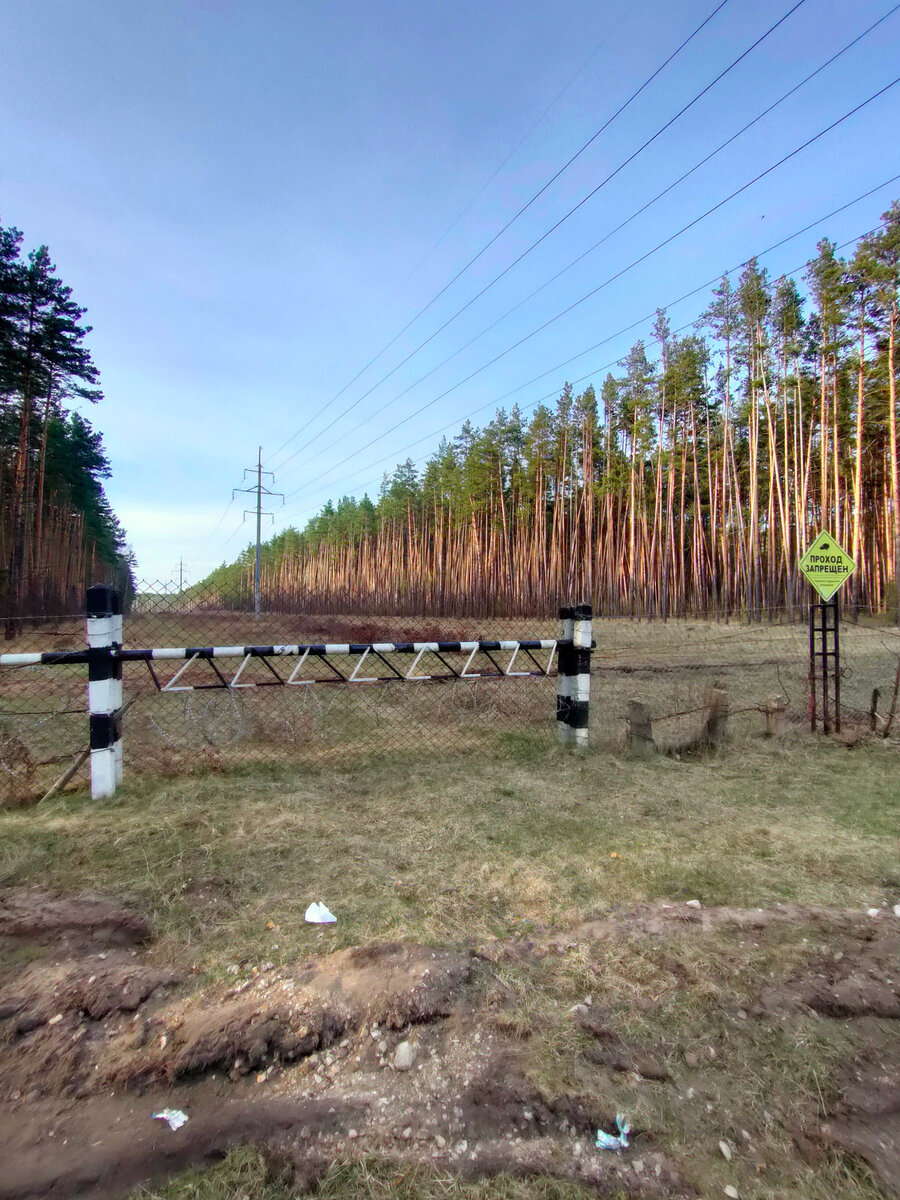 Южная граница Приокско-Террасного заповедника близ деревни Лужки. Фото Артюхов Д.