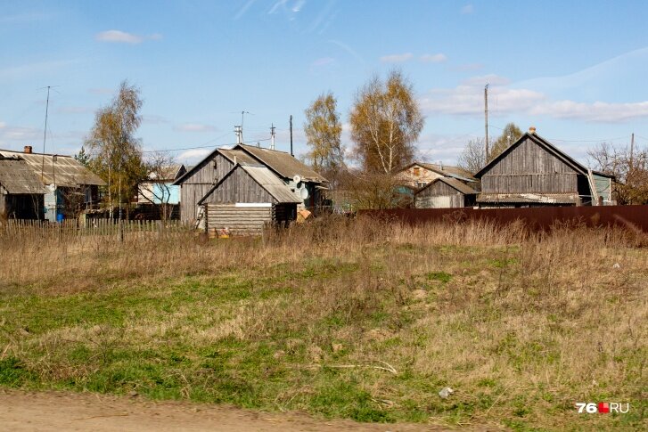 В этом году дачный сезон должен был начаться раньше, чем обычно, но эпидемия испортила все планы любителей огорода и сада