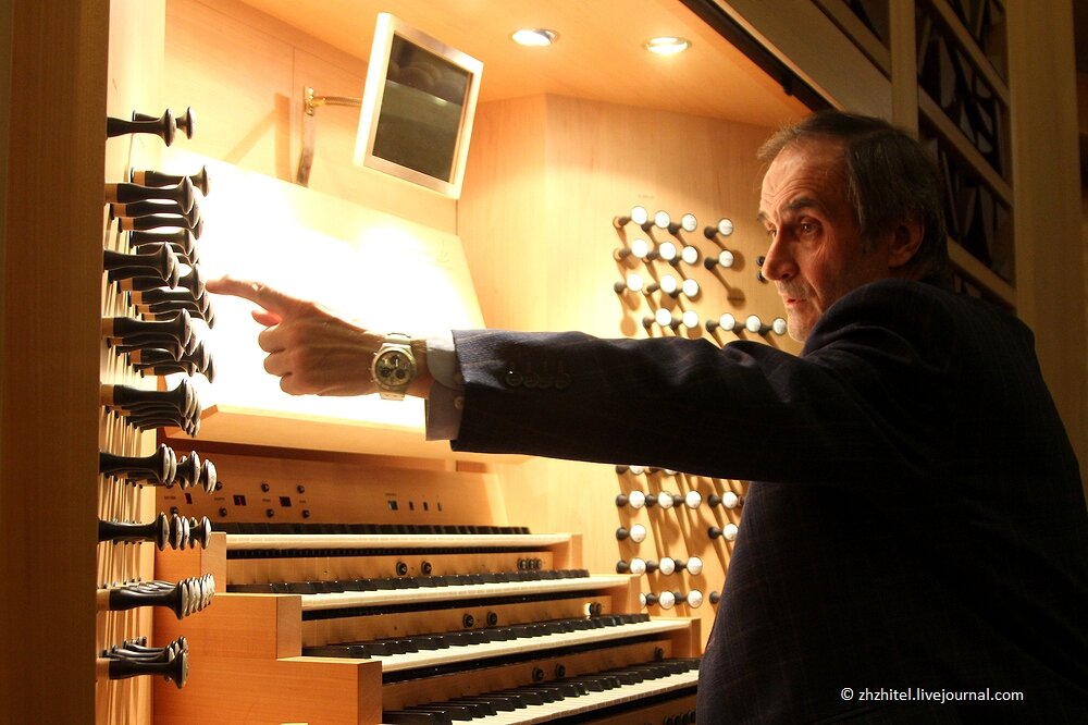 самая маленькая скрипка в мире. вагнер октобас. самый низкий музыкальный инструмент. самый низкий музыкальный инструмент. самый низкий музыкальный инструмент.