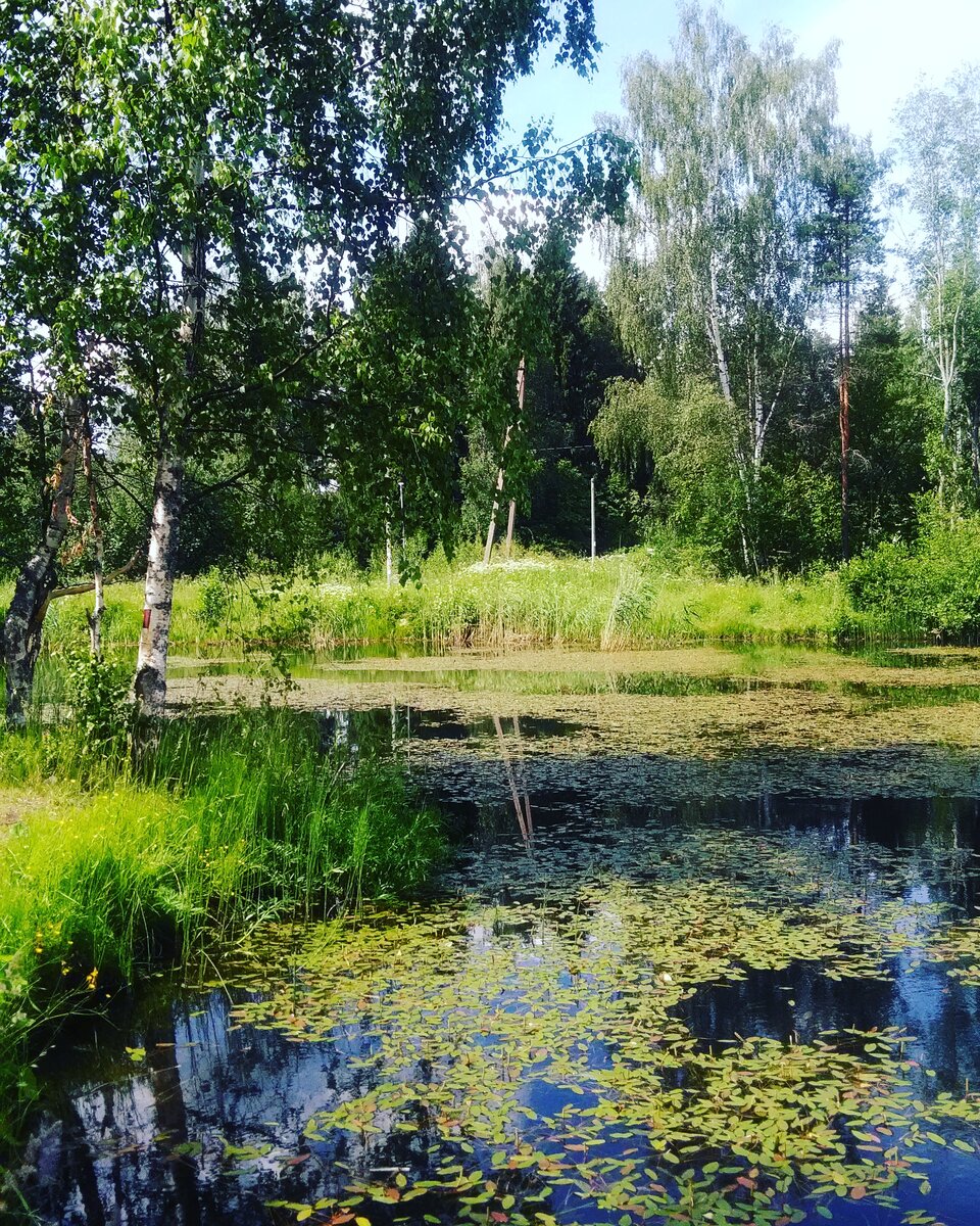 Фото из архива автора Карелиной С.Б.