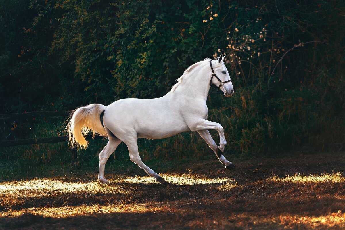 Источник фото pexels.com