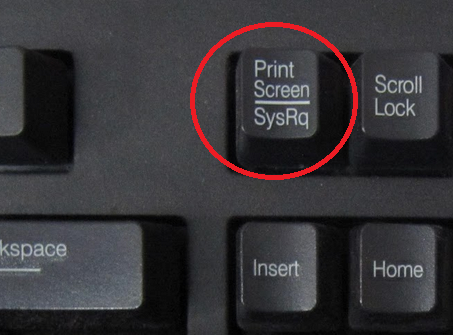 скриншот можно вставить нажатием сочетаний клавиш "ctrl+v".