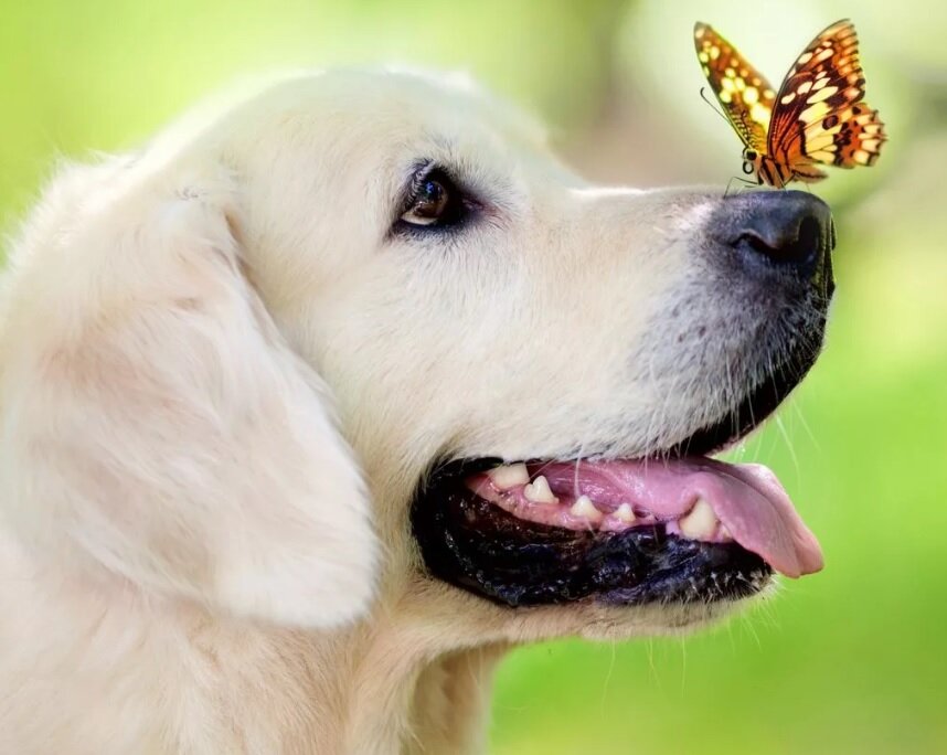 фото взято из интернета