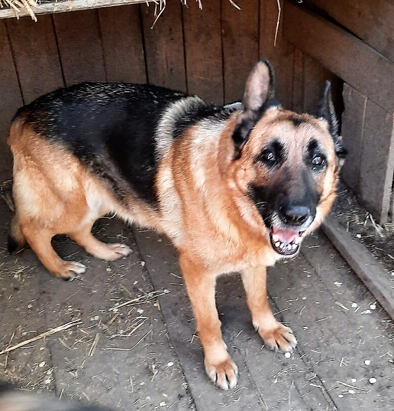 Мама Донна даёт ценные указания