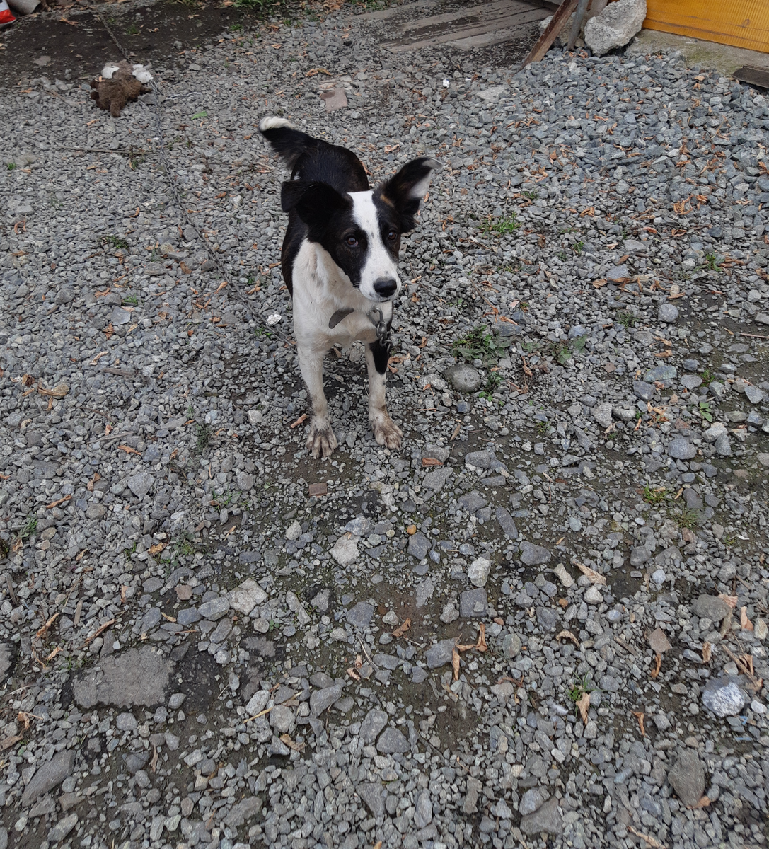 Фотография из личного архива