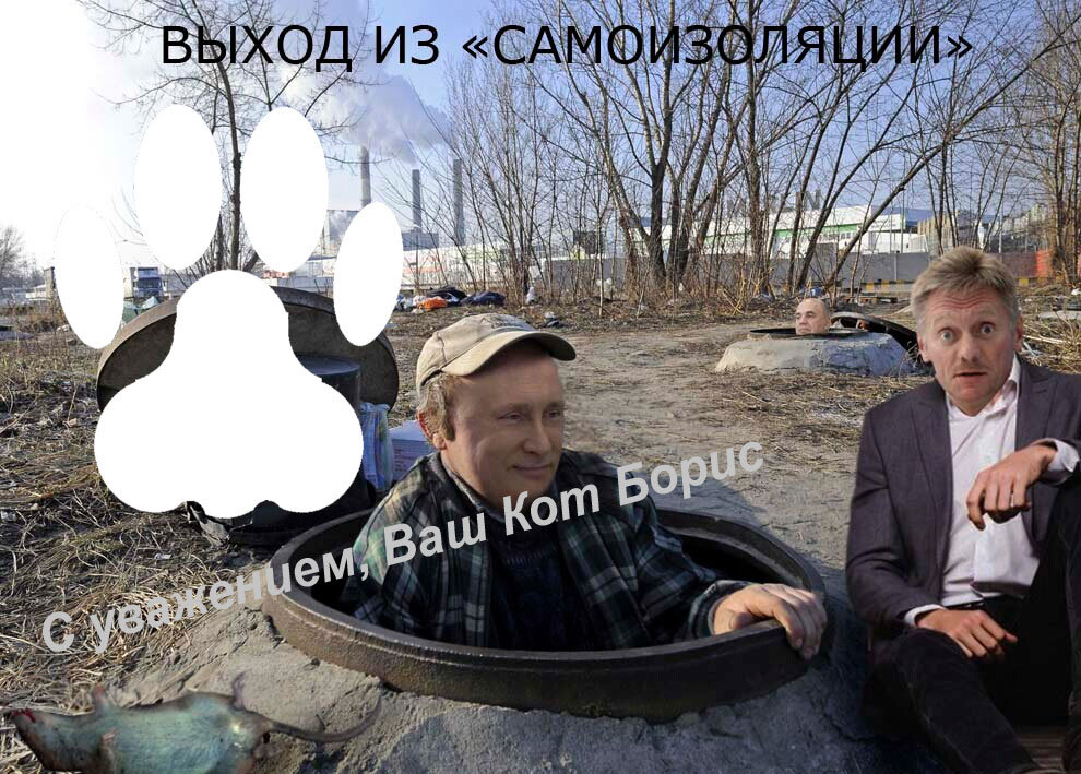 демотиватор