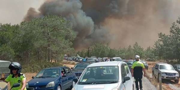 Пылающий огонь угрожает лесу Морфу на севере