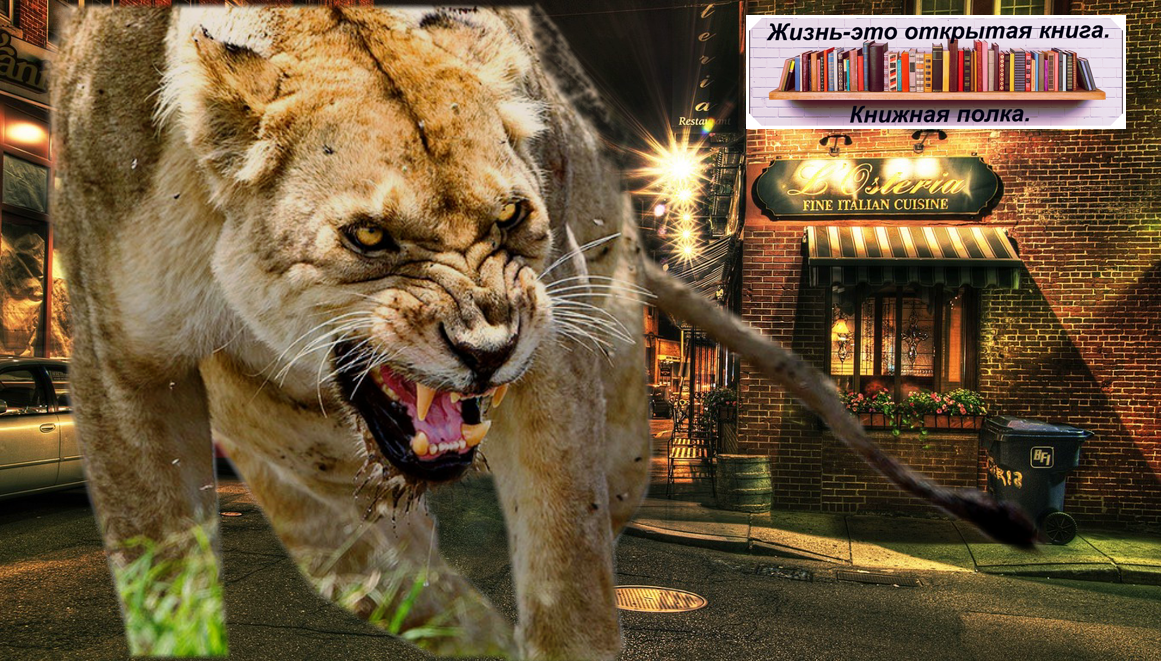 Авторский коллаж