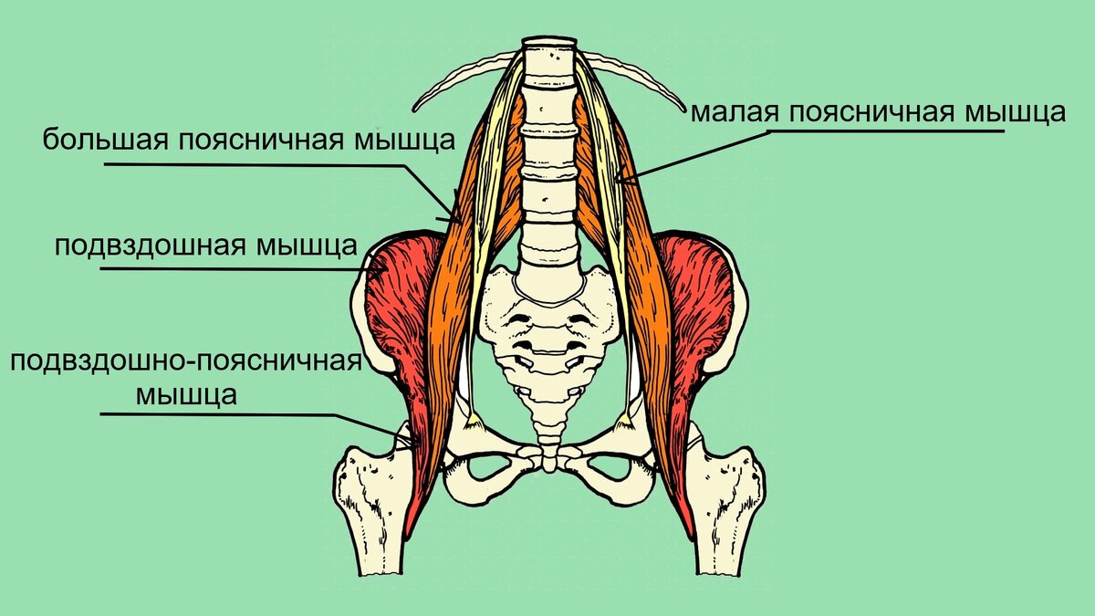 рисунок 1