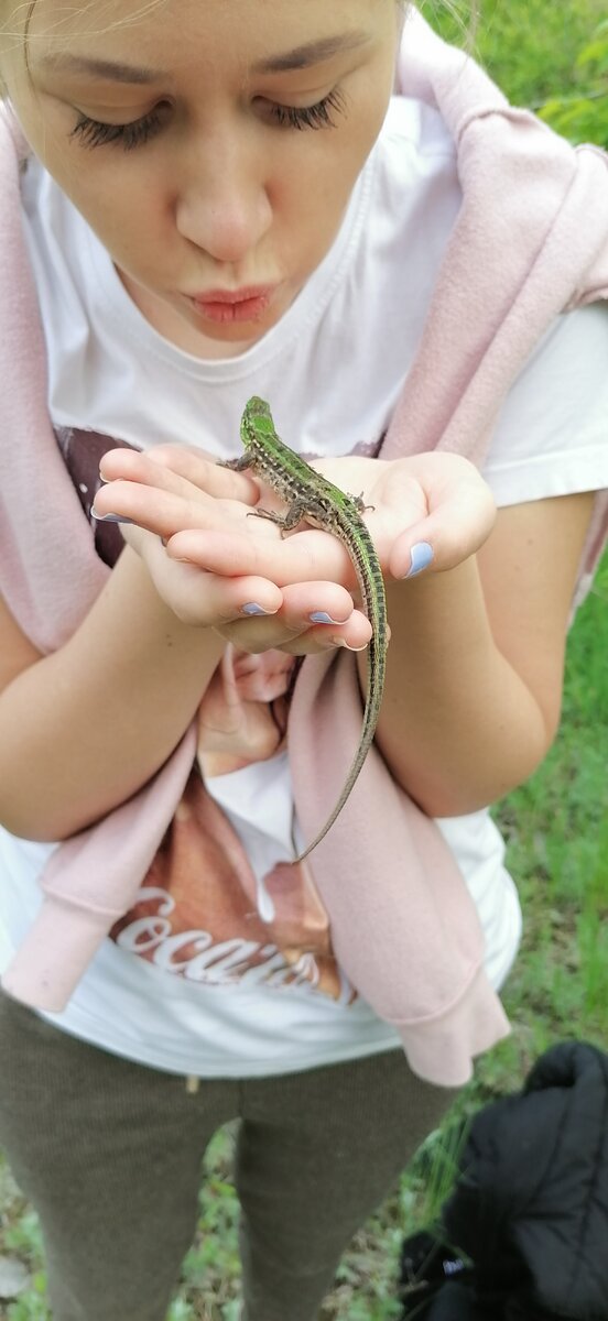 Пусть живёт﻿#ящерицы﻿ #лето 2020 #деревня 