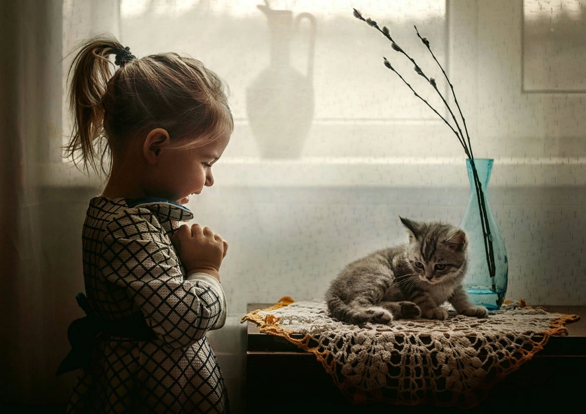 фото из открытых источников https://oir.mobi/626838-malyshi-i-koty.html